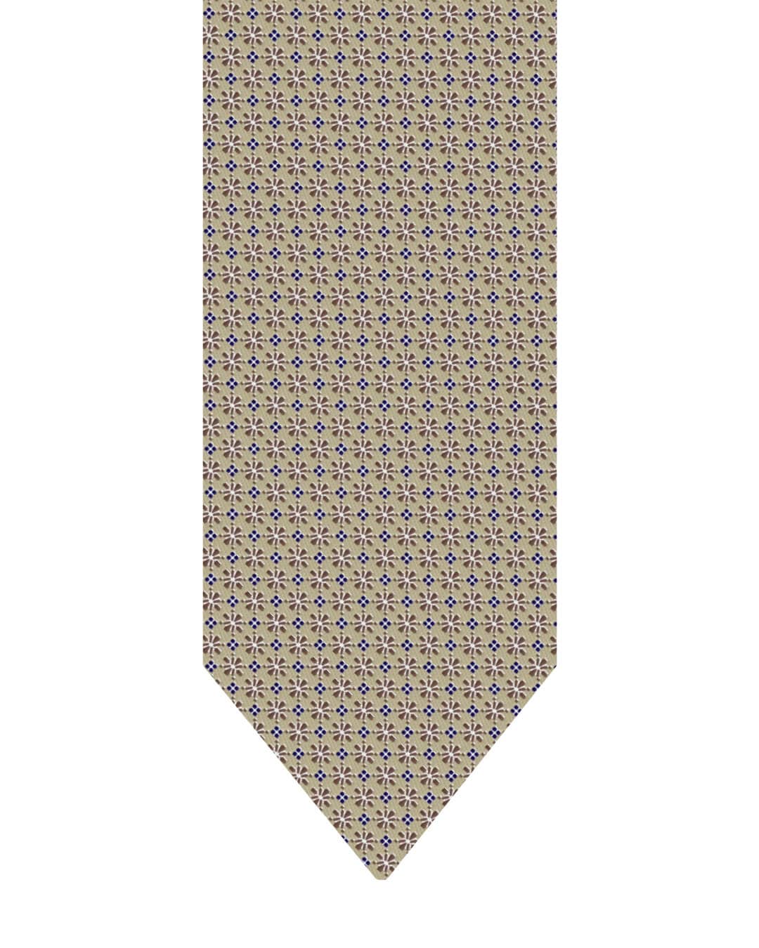 Gagliardi Beige Tie Italian Silk Floral & Box