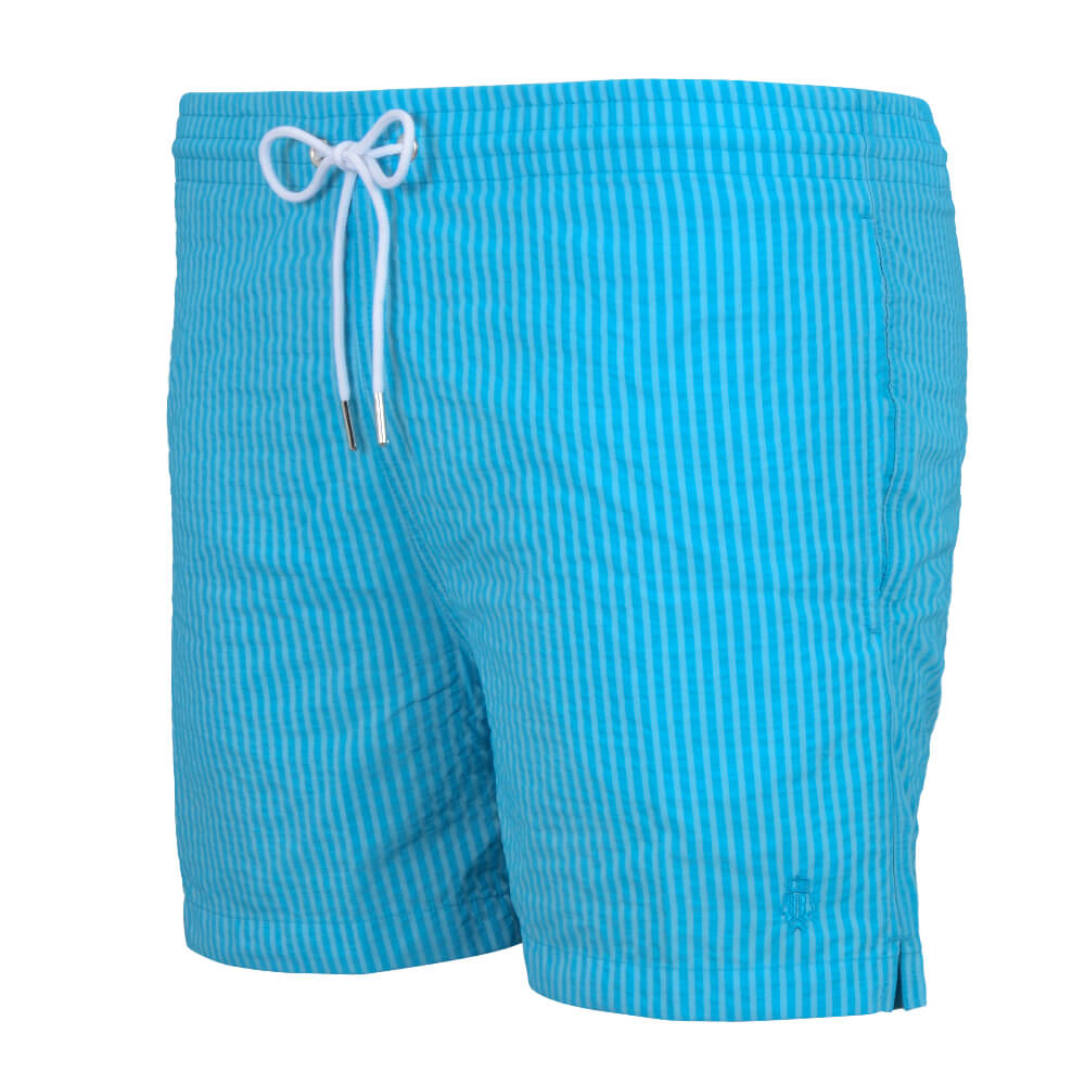 Blue Stripe Swim Shorts - Gagliardi