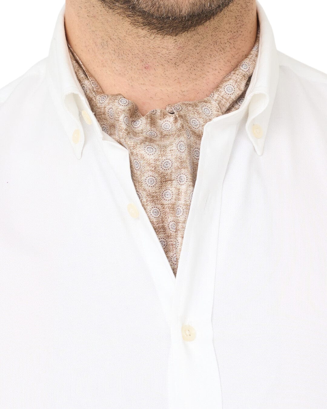 Beige Medallions Cravat