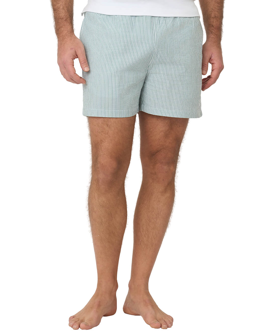 Gagliardi Shorts Gagliardi Green Swim Shorts Seersucker Striped Piped