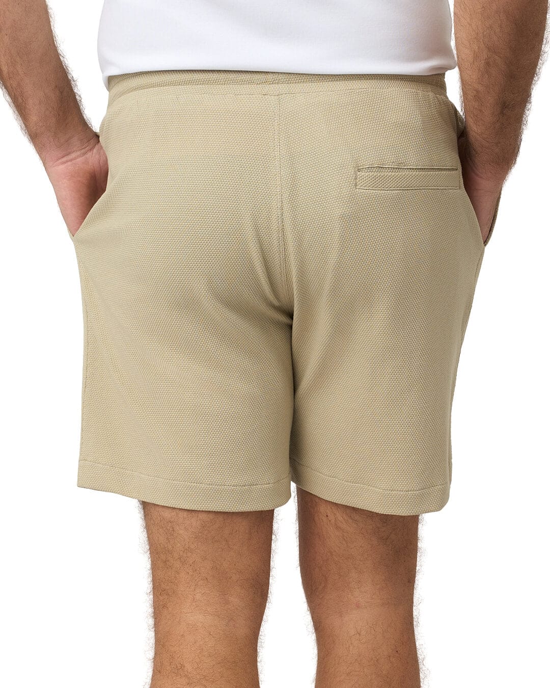 Gagliardi Shorts Gagliardi Sage Shorts Popcorn