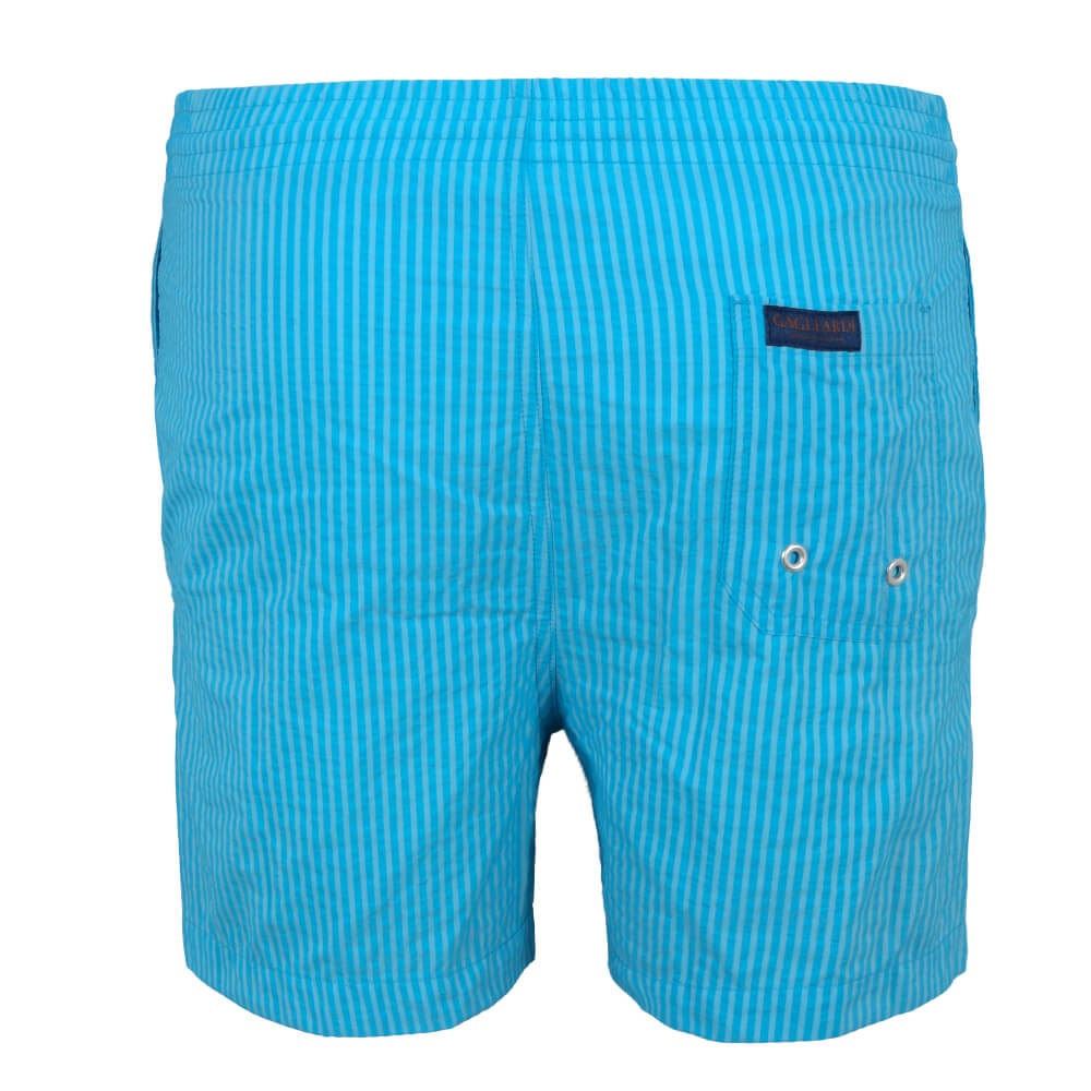 Blue Stripe Swim Shorts - Gagliardi